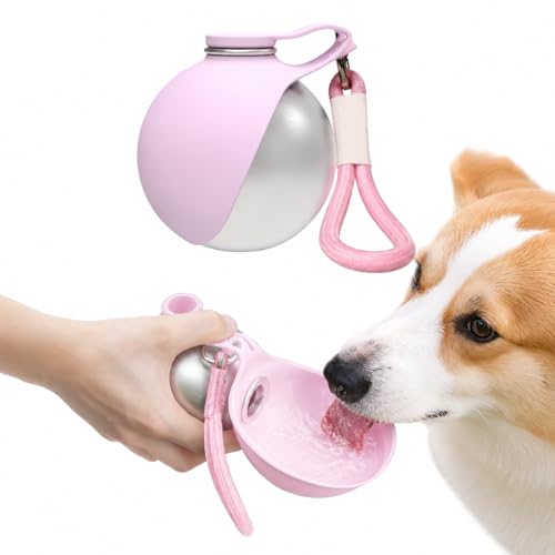 2-in-1 Portable Dog Water Bottle, 10 oz Stainless Steel with Foldable Bowl