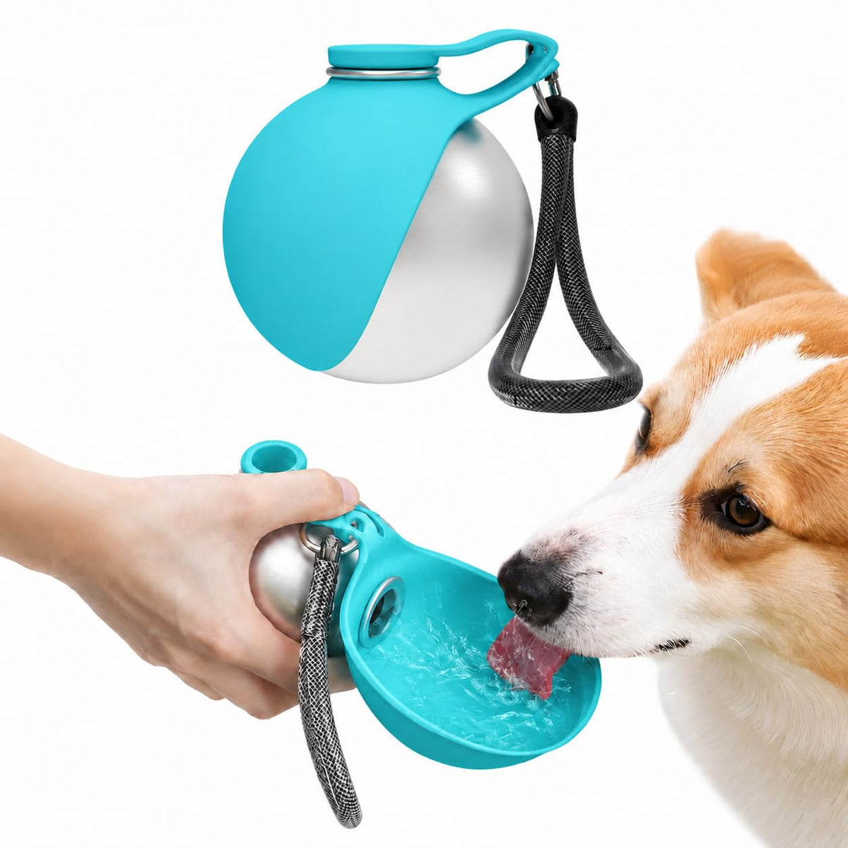 2-in-1 Portable Dog Water Bottle, 10 oz Stainless Steel with Foldable Bowl