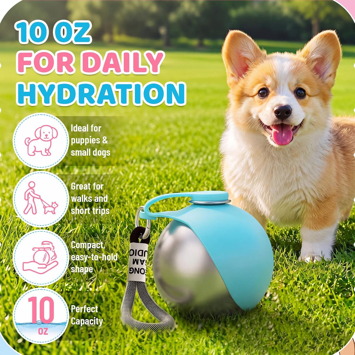 2 Pcs 2 in 1 Portable Dog Water Bottle with Silicone Bowl 10oz Stainless Steel Dog Travel Water Bottle Leak Proof Puppy Drinking Bottles for Walking Hiking Travel Outdoor Use
