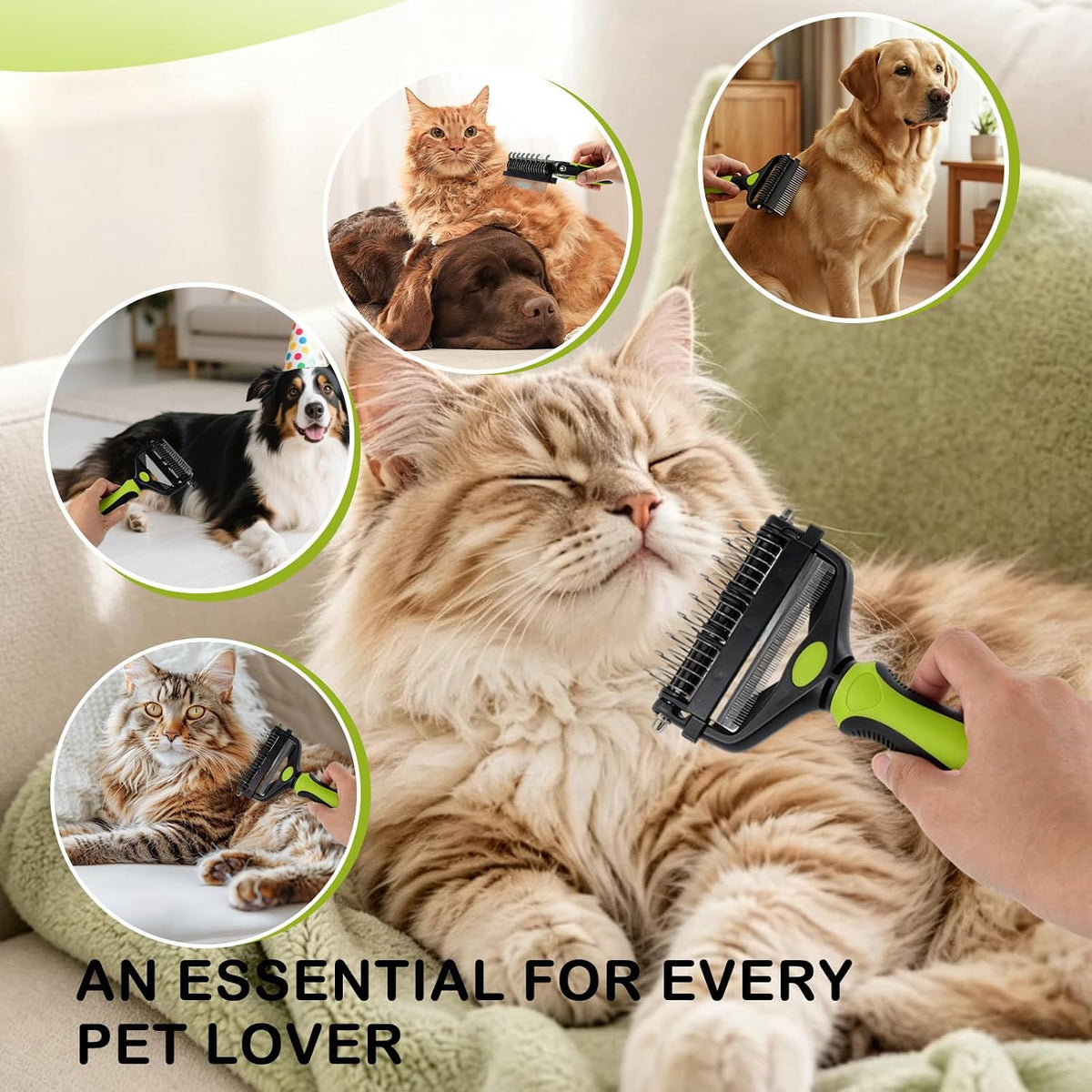 3-IN-1 Pet Brush for Deshedding and Grooming Tool (Green)