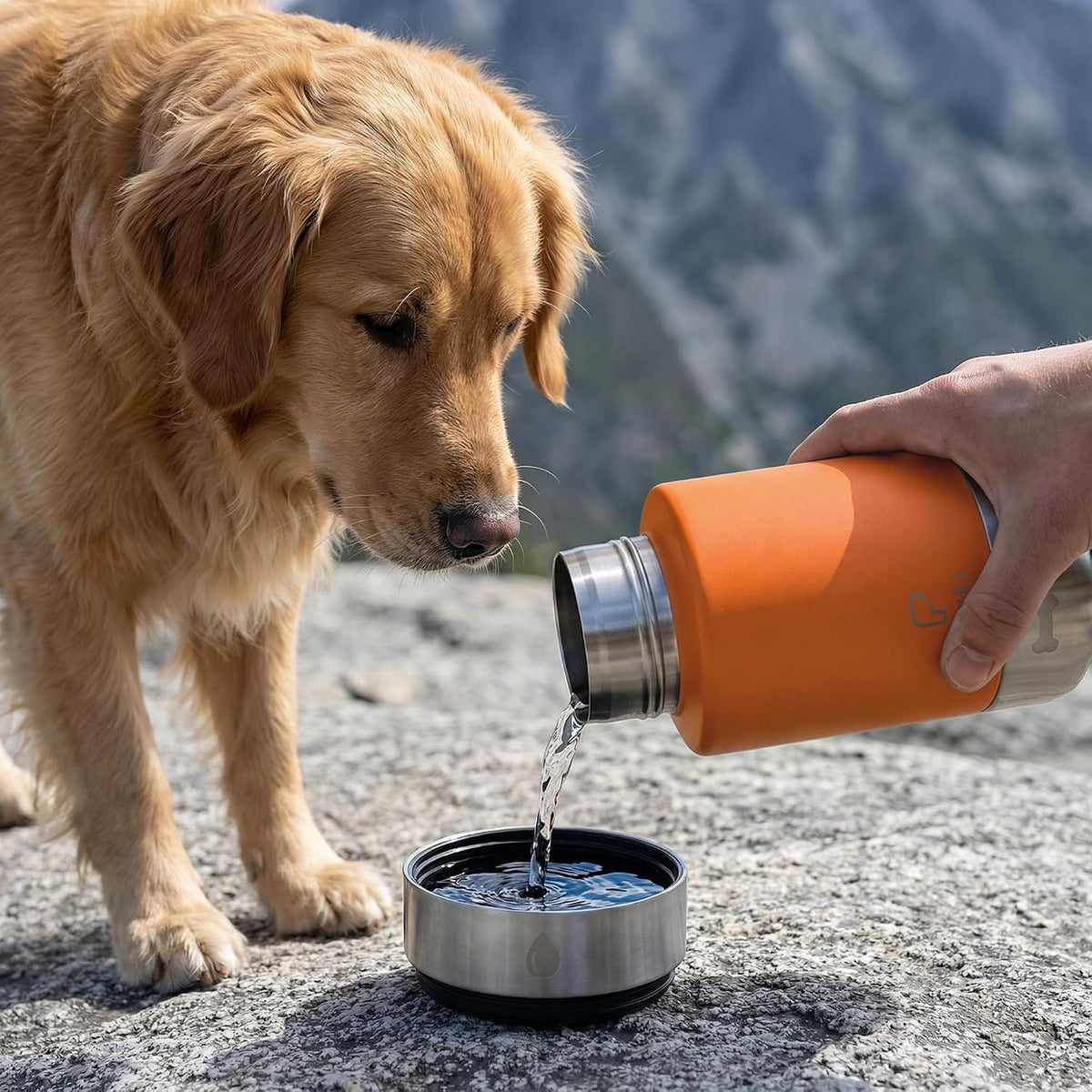 Dog Water Bottle 32oz, Insulated Stainless Steel Travel Water Dispenser with 2 Detachable Dog Bowls for Food and Water, Leak Proof Portable Pet Drinking Cup for Walking Hiking Camping (Orange)