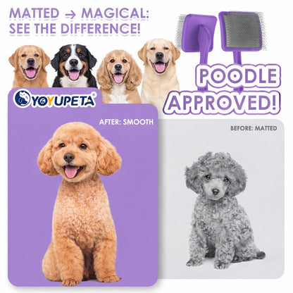 3-Piece Dog Slicker Brush & Undercoat Rake Kit, Purple Wooden Kit