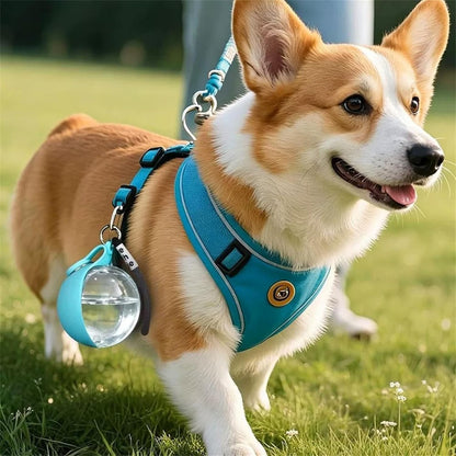 Portable Dog Water Bowl, Stainless Steel Insulated and Leak-Proof
