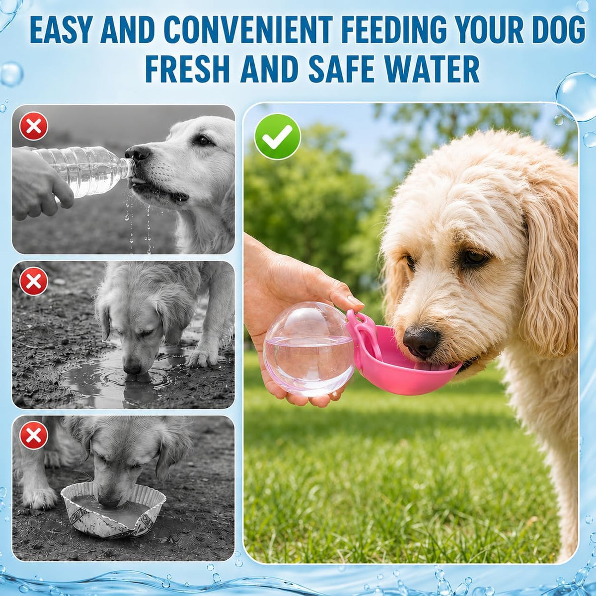 2-in-1 Portable Dog Water Bottle with Bowl, 10oz