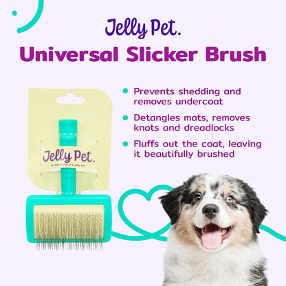 Jelly Pet Universal Slicker Brush for Dogs, Dog Grooming Brush, Remove Tangles and Dead Undercoat, Tuffer Than Tangles, Maltese Shi-Tzu Poodle Bichon, Firm Pins, Teal, Small