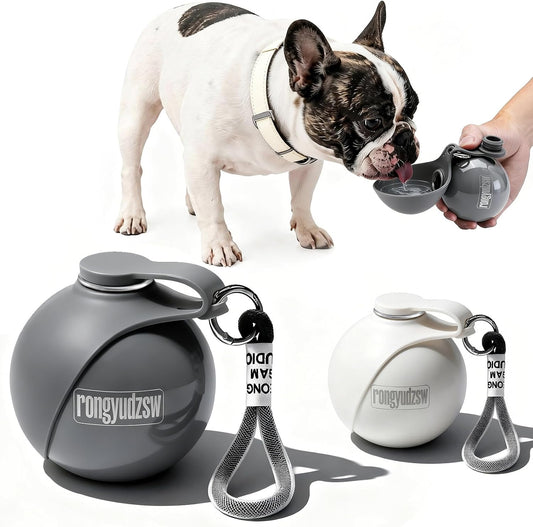 2-in-1 Portable Stainless Steel Leak-Proof Pet Water Bottle with Silicone Foldable Bowl, 285 ml, for Dogs on Outdoor Walks