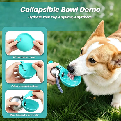 2-in-1 Foldable Silicone Dog Water Bottle, 9.6oz Stainless Steel