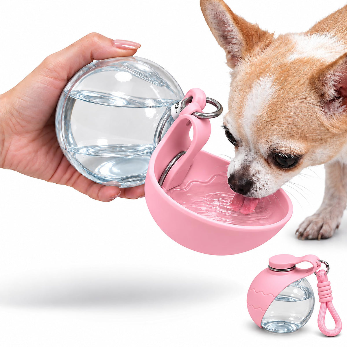 Dog Water Bottle – 2-in-1 Foldable Bowl, BPA-Free, 10oz